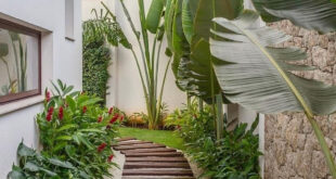 Taman Samping Rumah Sederhana