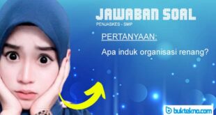 Apa induk organisasi renang?