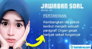 Kembangkan ide pokok berikut menjadi sebuah paragraf! Organ gerak banyak sekali fungsinya